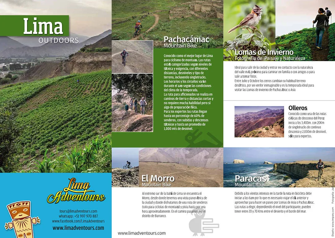 triptico 2019
